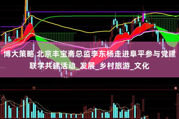 博大策略 北京丰宝斋总监李东杨走进阜平参与党建联学共建活动_发展_乡村旅游_文化