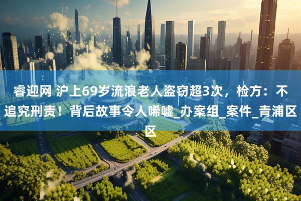 睿迎网 沪上69岁流浪老人盗窃超3次，检方：不追究刑责！背后故事令人唏嘘_办案组_案件_青浦区