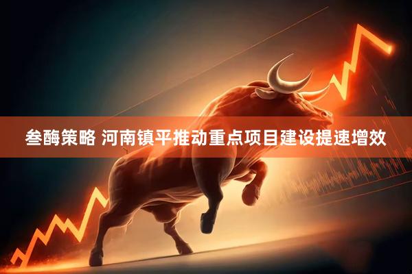 叁酶策略 河南镇平推动重点项目建设提速增效